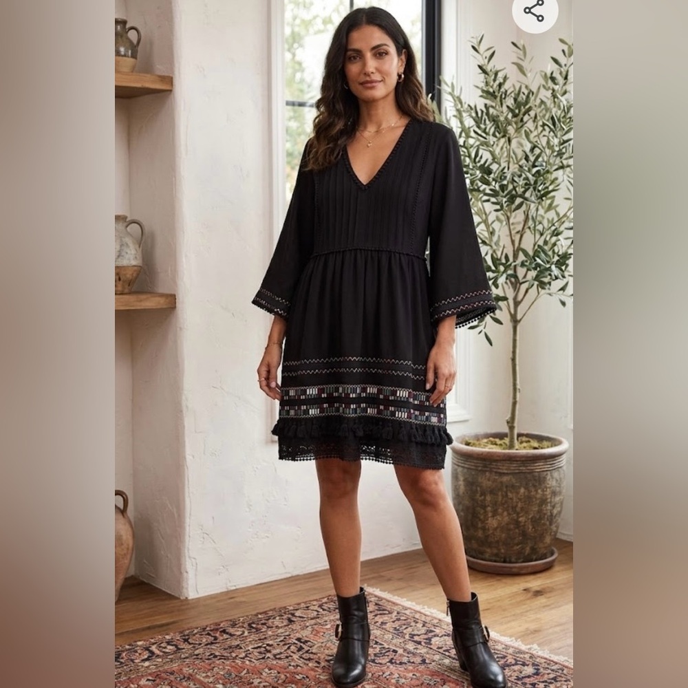 Ranna Gill Black Long-Sleeve Embroidered V-Neck Dress